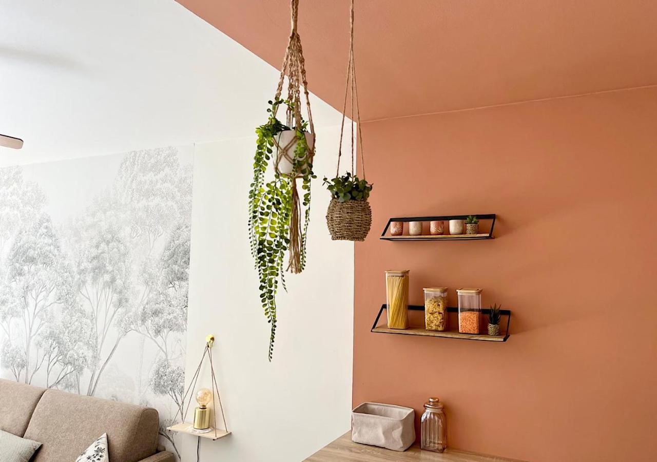 Cozy Studio, Terrace And *